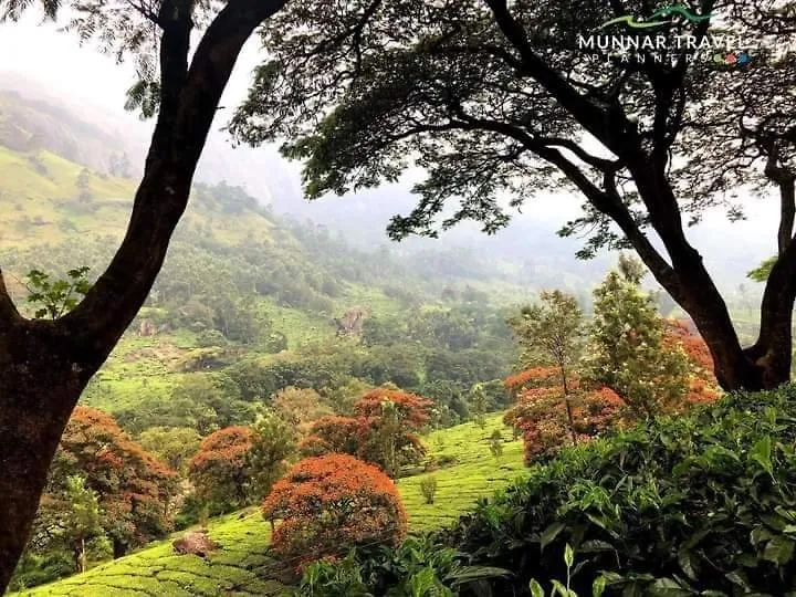 Munnar Pavithra Riverview Homestay