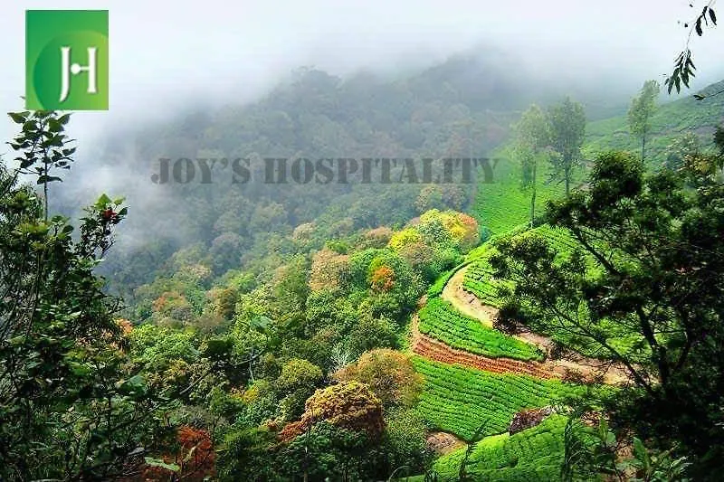 Munnar Pavithra Riverview Homestay India